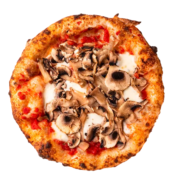 Funghi